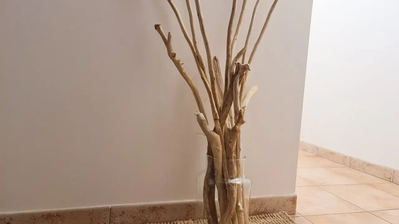 Un vase en verre rempli de bois flotté, parfait pour une déco bois flotté à faire soi-même.