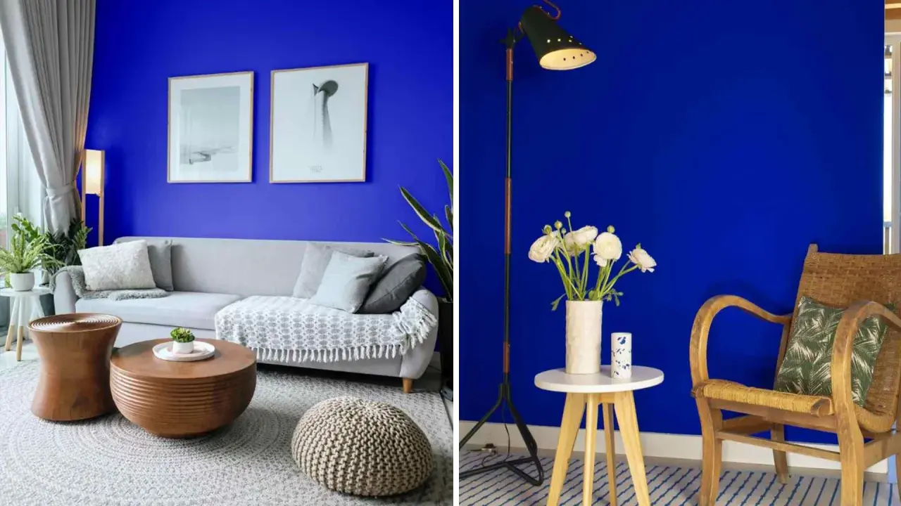 Salon aux murs bleu klein et bleu majorelle, avec un canapé gris, des tables en bois et une chaise en rotin.