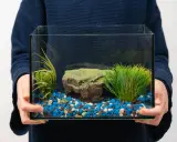 Main tenant tient un petit aquarium vide, prêt pour le déménagement. Il contient des graviers bleus, blancs et noirs, une fausse plante verte et un rocher.