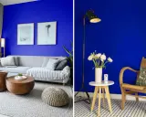 Salon aux murs bleu klein et bleu majorelle, avec un canapé gris, des tables en bois et une chaise en rotin.