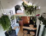 Vue aérienne du **tiny house interieur** verdoyant. Lit en mezzanine, cuisine avec bar, et cascade de plantes suspendues.