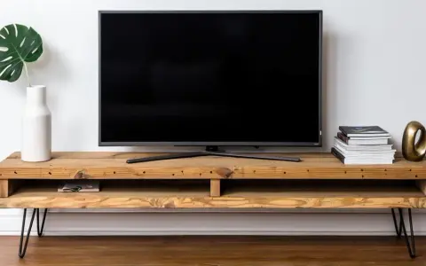 Meuble TV DIY en bois brut avec une plante verte dans un vase blanc et une pile de livres.