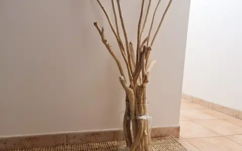Un vase en verre rempli de bois flotté, parfait pour une déco bois flotté à faire soi-même.