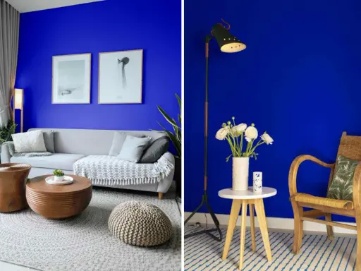 Salon aux murs bleu klein et bleu majorelle, avec un canapé gris, des tables en bois et une chaise en rotin.