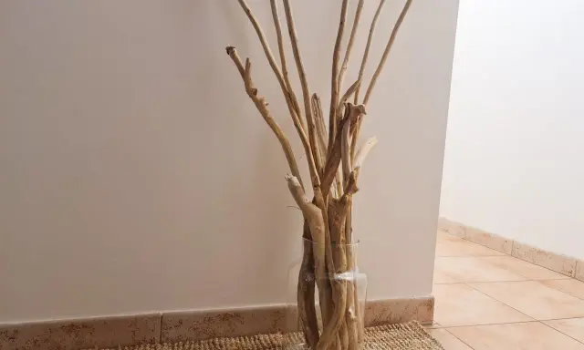 Un vase en verre rempli de bois flotté, parfait pour une déco bois flotté à faire soi-même.