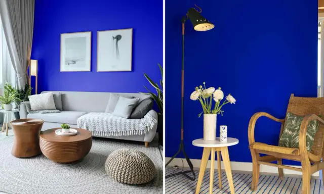 Salon aux murs bleu klein et bleu majorelle, avec un canapé gris, des tables en bois et une chaise en rotin.