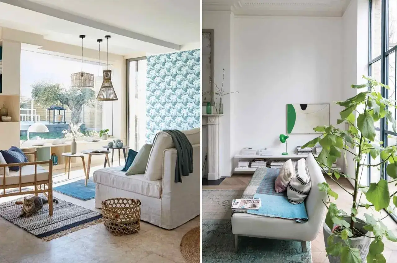Deux salons cosy. &Agrave; gauche, un canap&eacute; en tissu devant une baie vitr&eacute;e, avec un chat sur un tapis. &Agrave; droite, un autre canap&eacute;, quel meuble devant baie vitr&eacute;e, avec une plante verte.