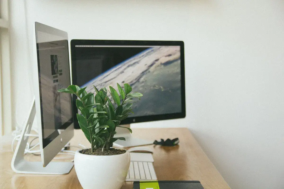 Bureau avec deux &eacute;crans, un clavier, une plante verte et une souris. Pr&eacute;paration pour un d&eacute;m&eacute;nagement informatique.