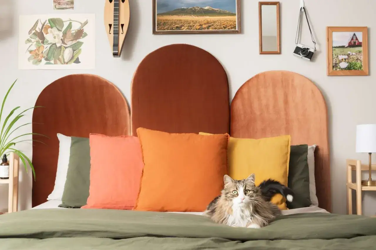 Un chat moelleux se repose devant une t&ecirc;te de lit &agrave; peindre, compos&eacute;e de panneaux arrondis aux couleurs chaudes.