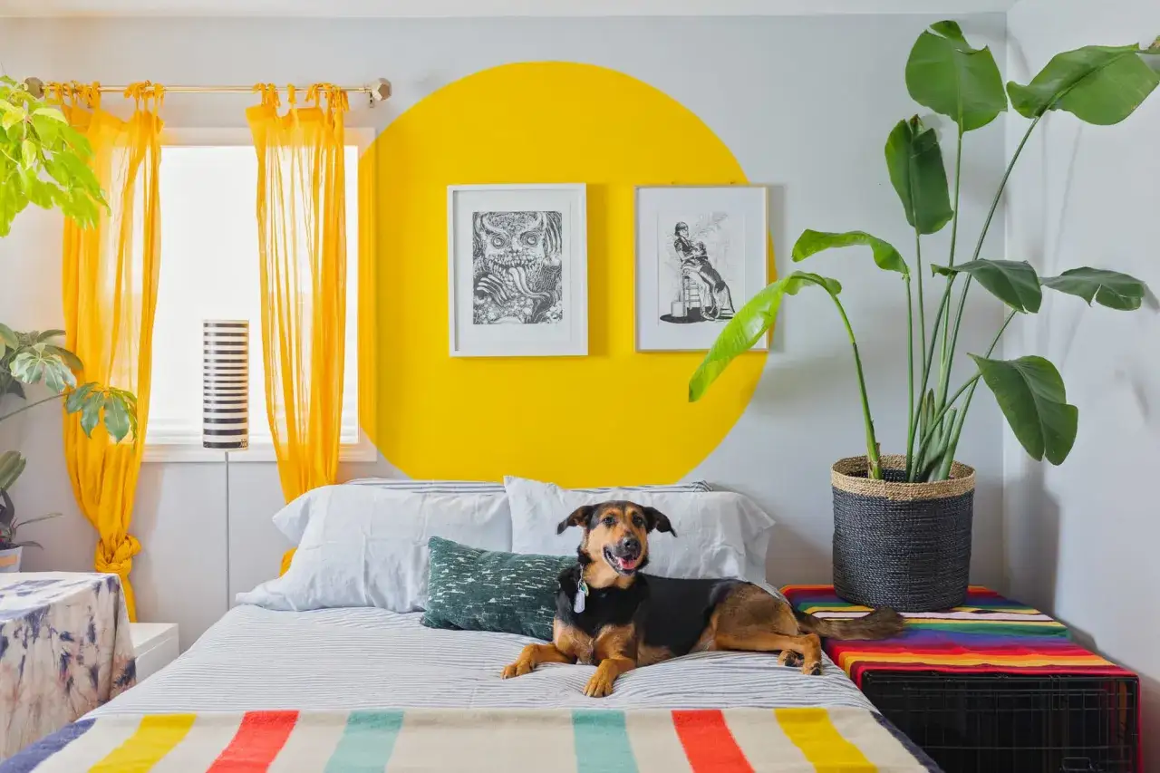 Un chien se repose sur un lit, devant un mur orn&eacute; d'un grand cercle jaune, une id&eacute;e motif peinture murale audacieuse.