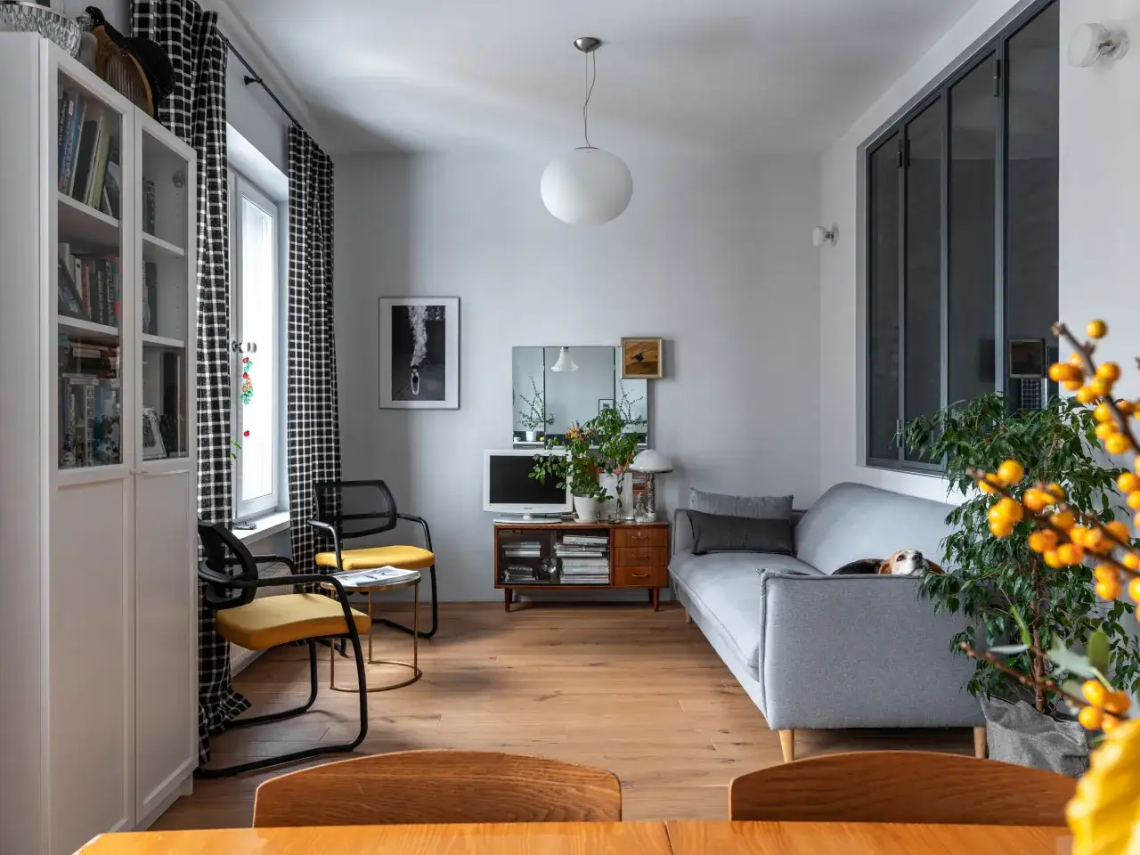 Un plan appartement 40m2 1 chambre bien am&eacute;nag&eacute; avec un canap&eacute; gris, des chaises jaunes, une biblioth&egrave;que et un chien endormi.